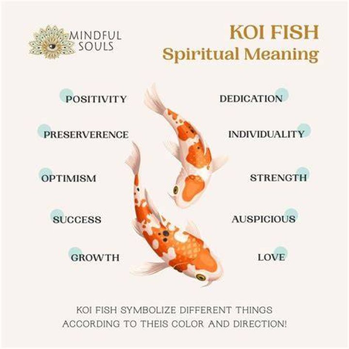 What is the meaning of 2 koi fish?