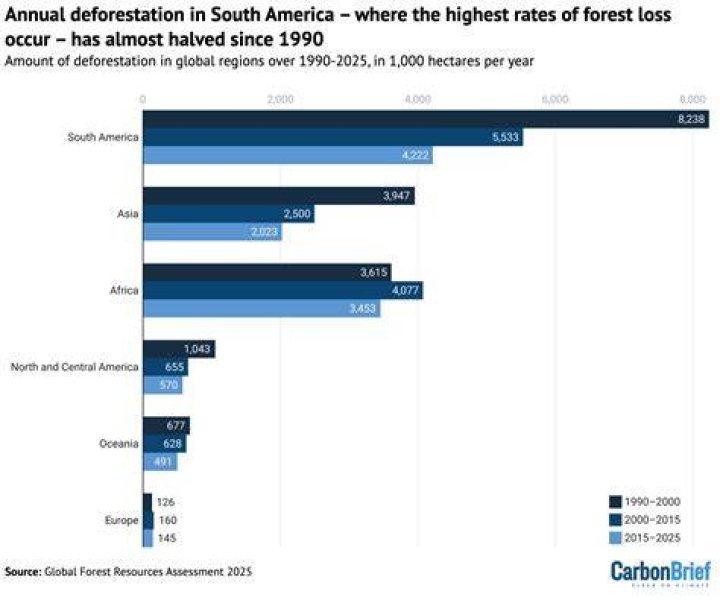 What is the rate of deforestation in USA?
