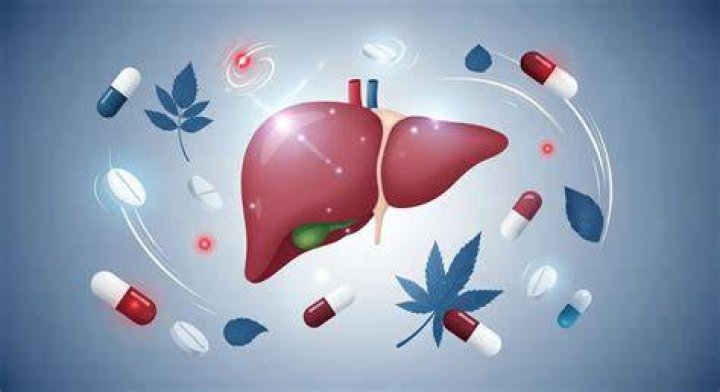 What medications are hard on the liver?