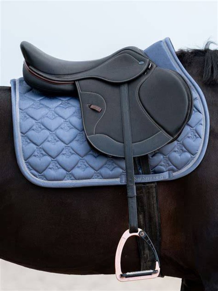 What saddle pad does Charlotte use?