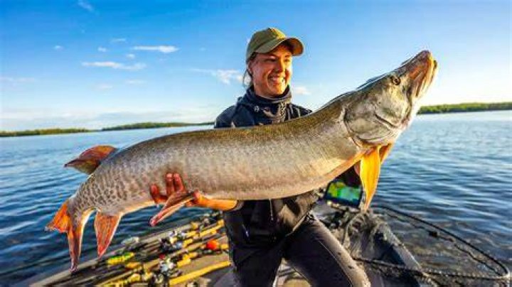 What smell is musky?
