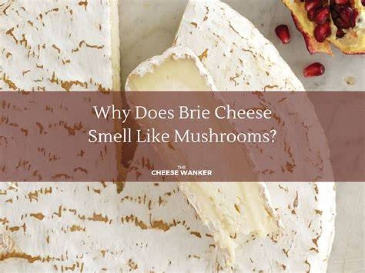 What STD smells like cheese?