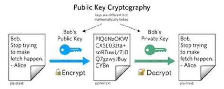 Where can I find my public key certificate?