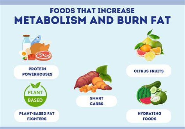 Which foods increase metabolism and burn fat?