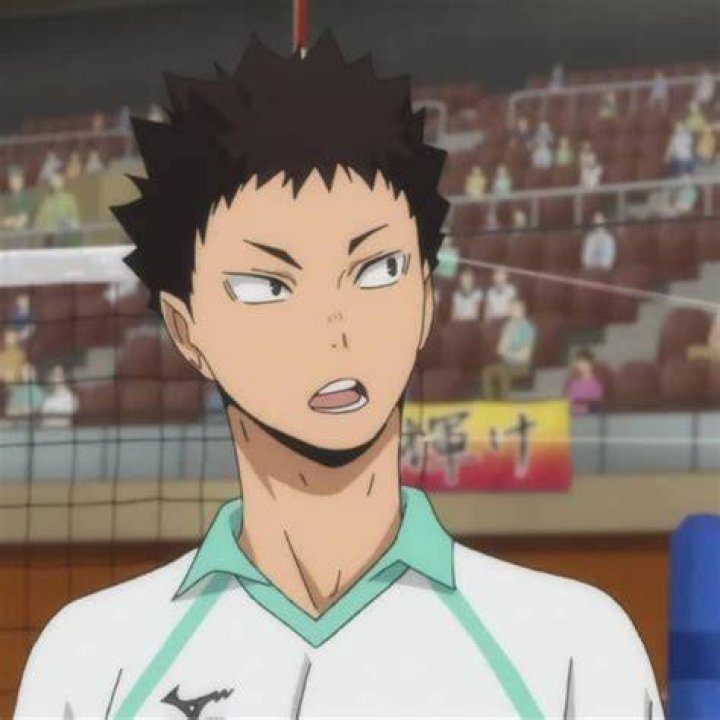 Who is shipped with Iwaizumi?