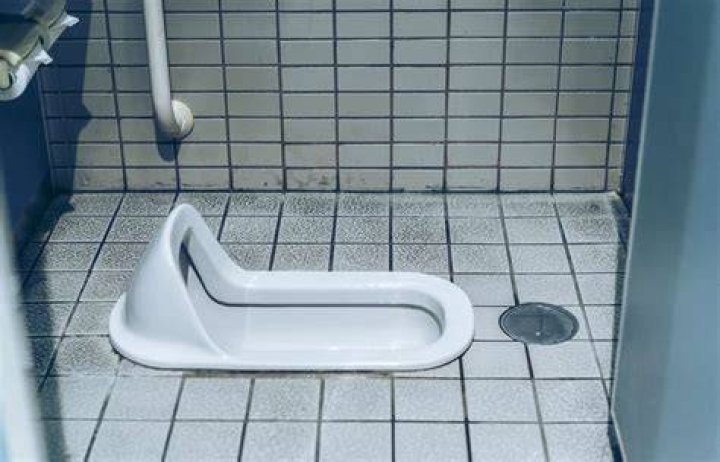 Why are Japanese toilets on the floor?