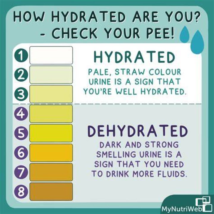 Why do I feel dehydrated but my pee is clear?