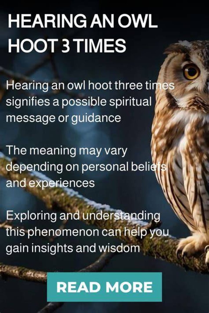 Why do owls hoot 3 times?