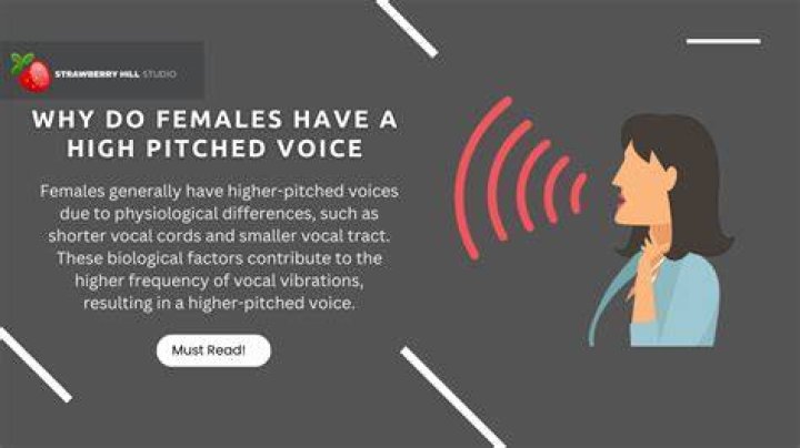 Why do people's voices get higher when they talk to dogs?