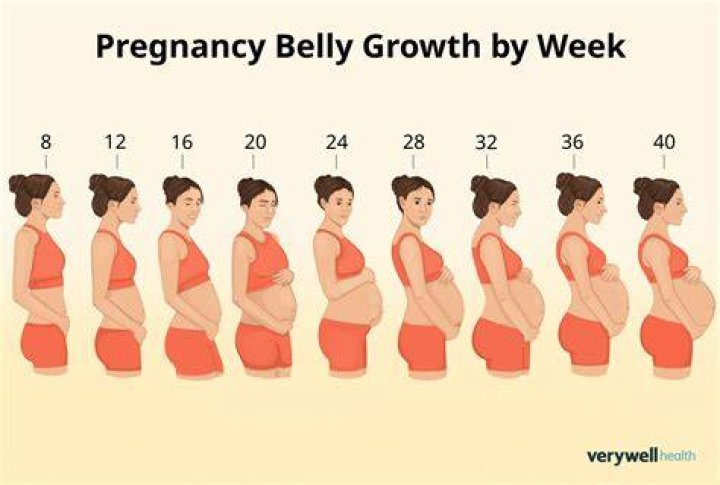 Why is my pregnant belly so big?